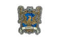 Hogwart House Magnets